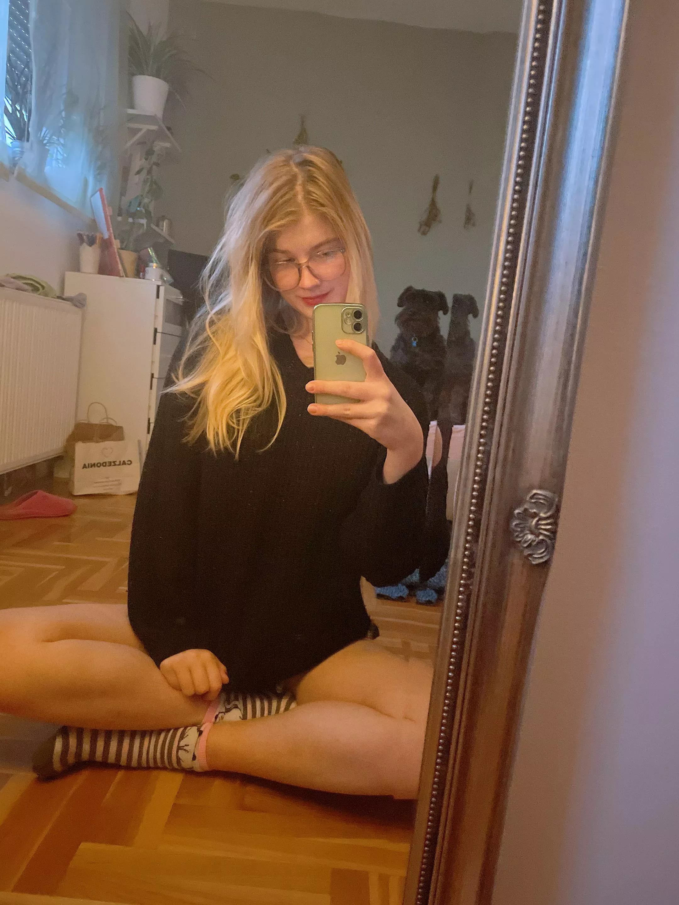 Don’t come close or my doggo will bite your ass :p