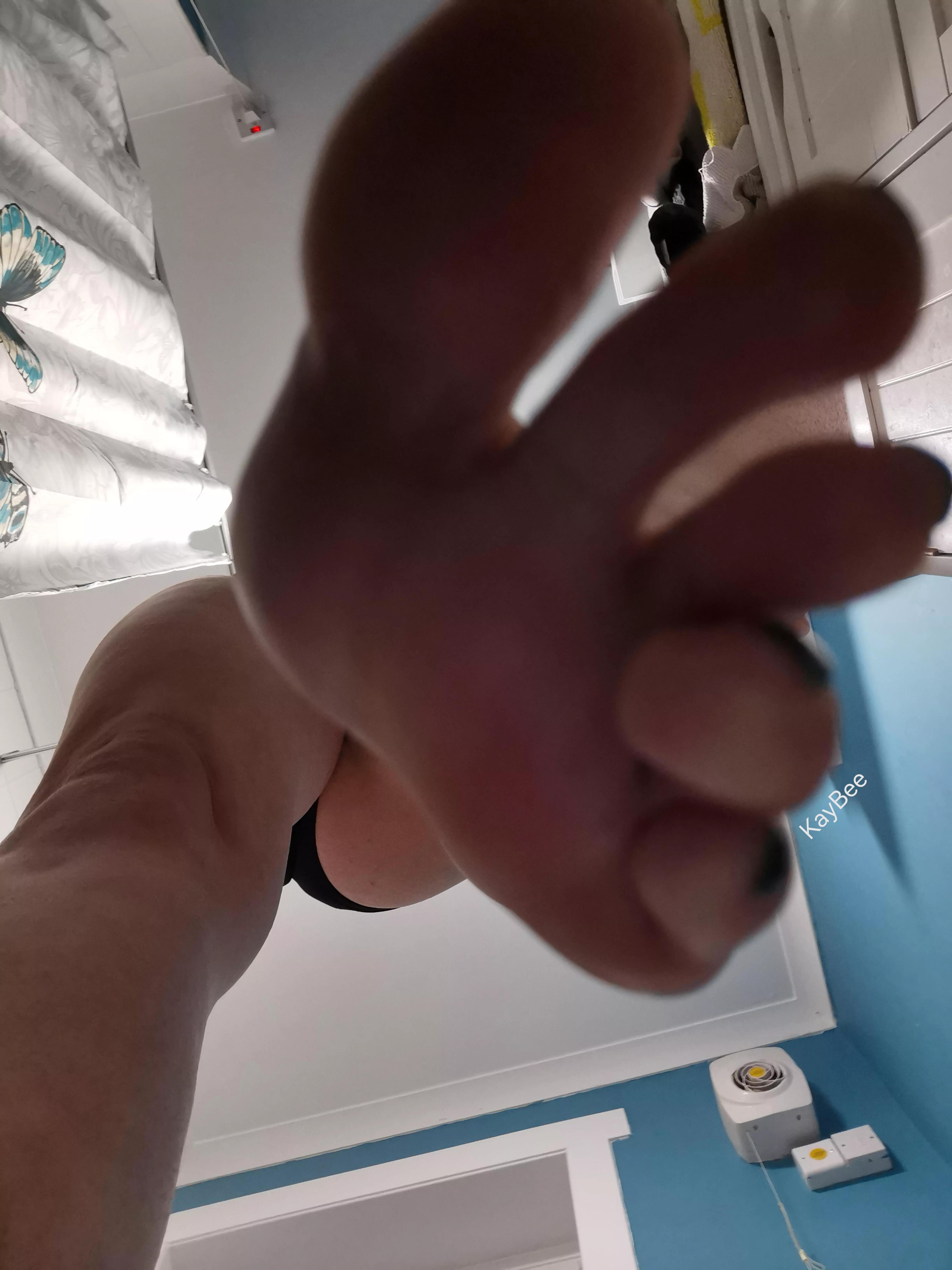 Don't move! I'll be gentle... If you want