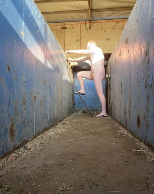 Enjoying the sun and working