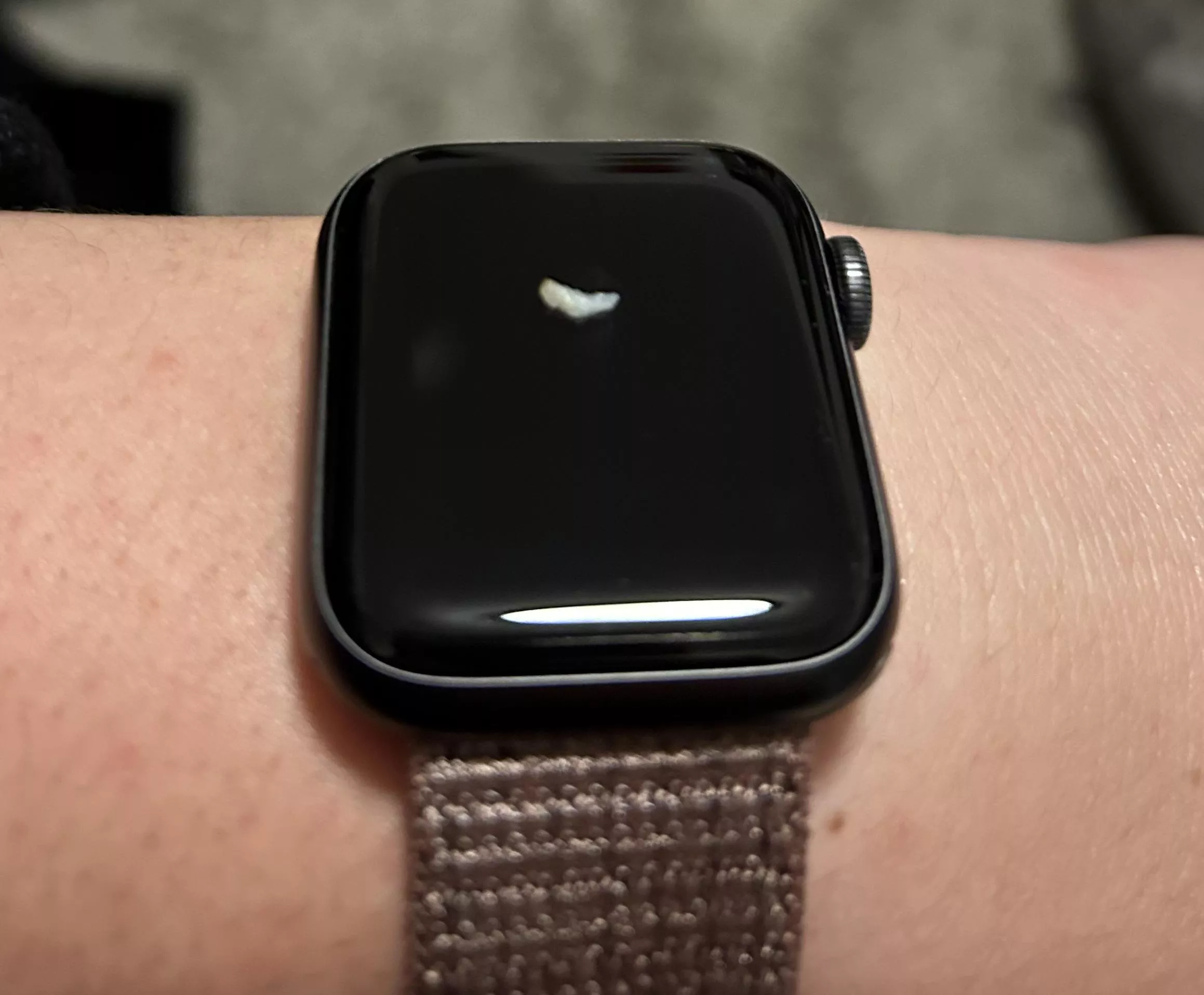 found a little guy to squeeze. apple watch for comparison.