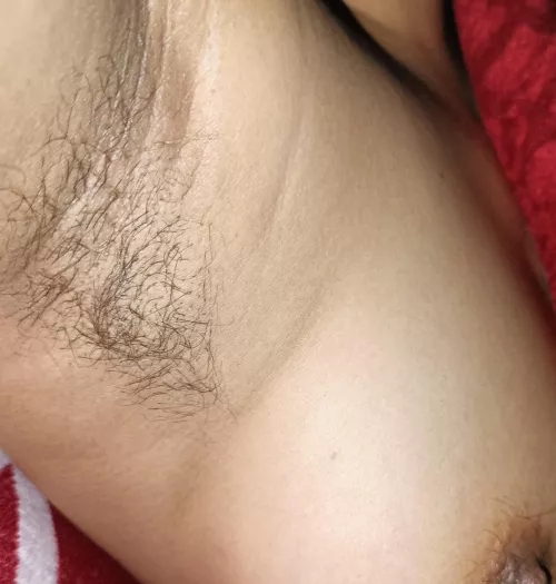 fresh in the morning