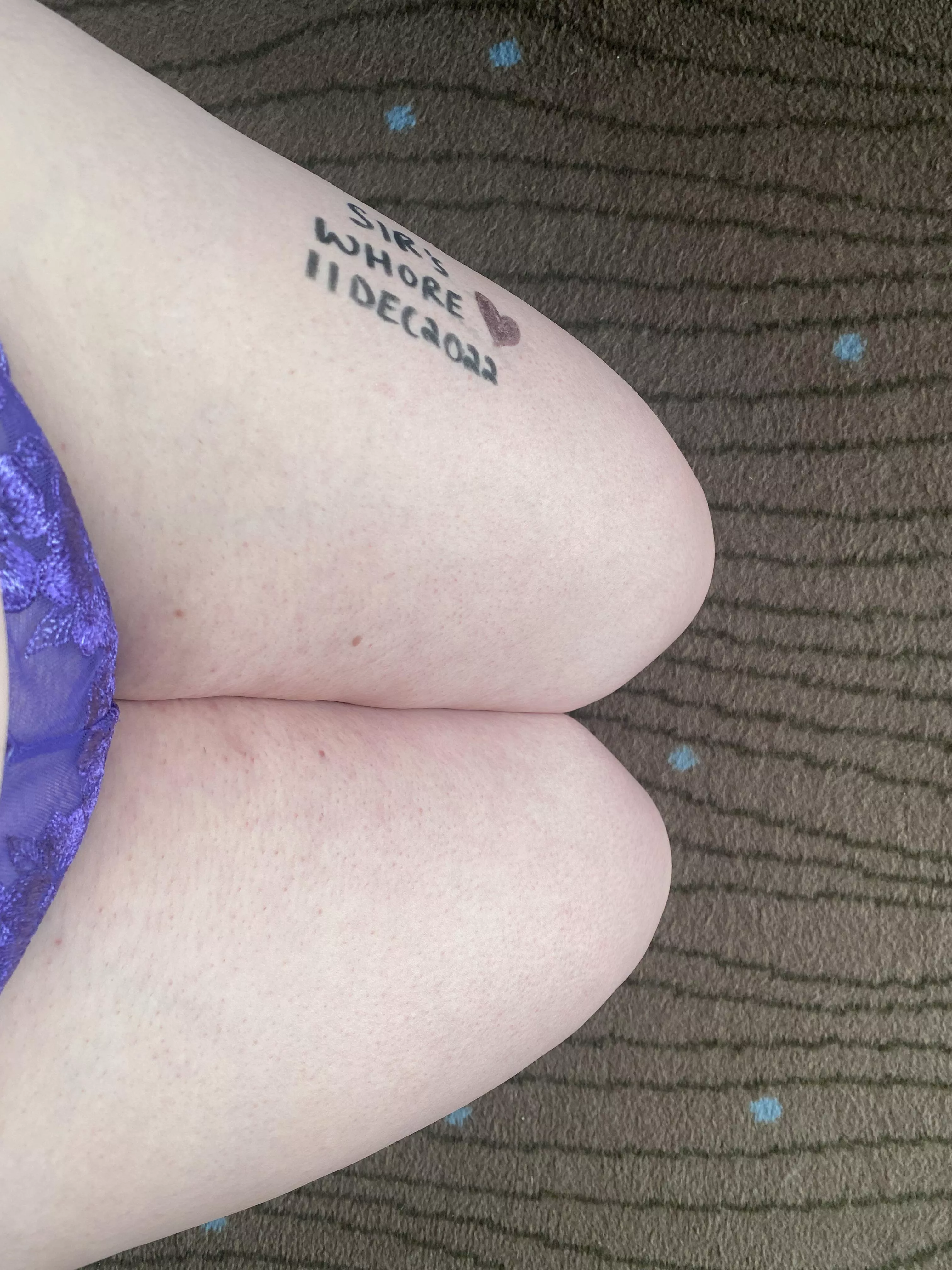 Good evening Sir-11DEC2022[OC]