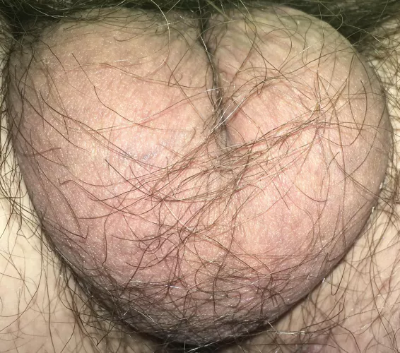 Gotta love my big balls.