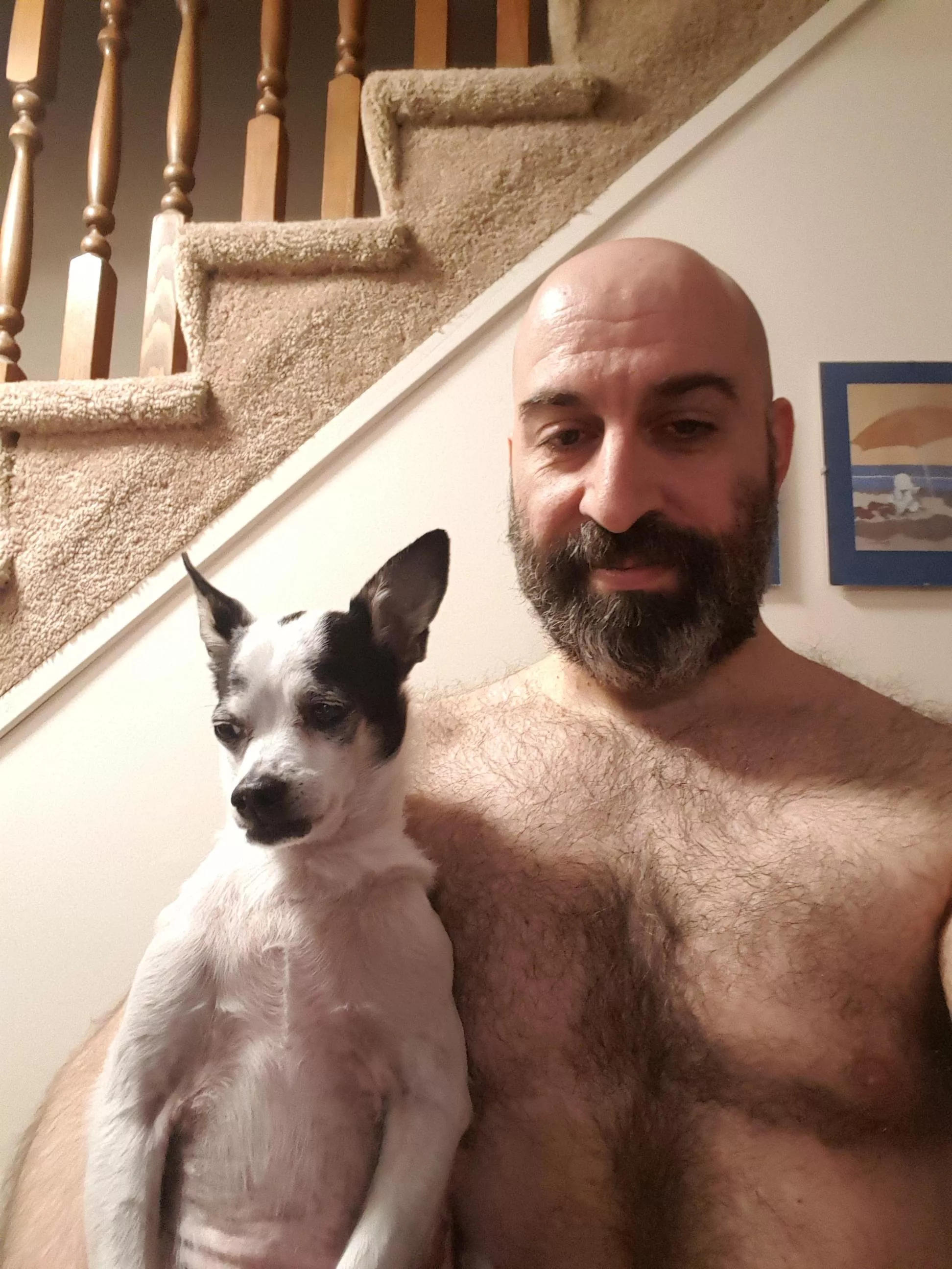 Hairy chests (awkwardness🙃)