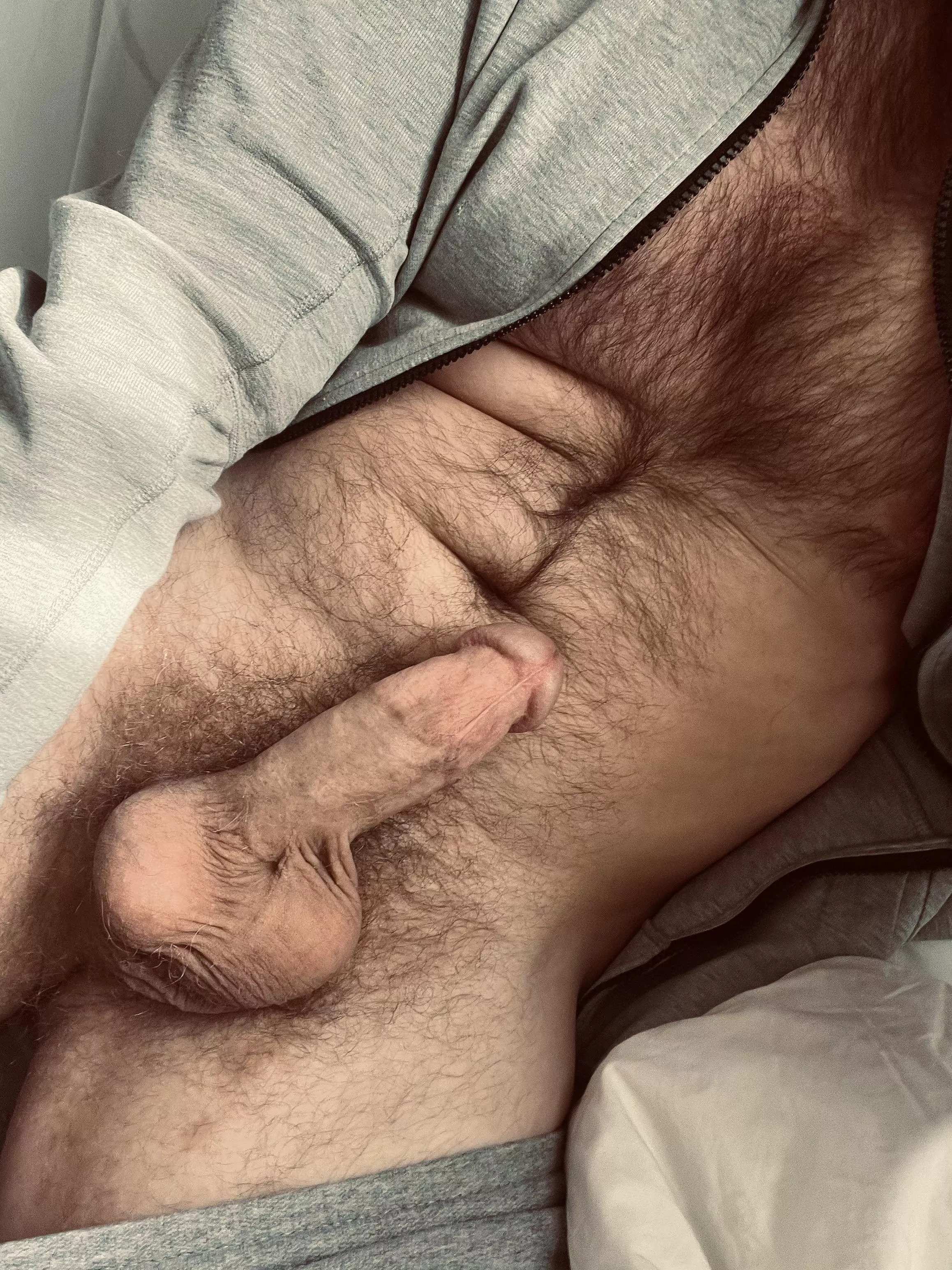 Haven’t blown a load since Thursday. Anyone wanna help this thick hairy daddy drain…