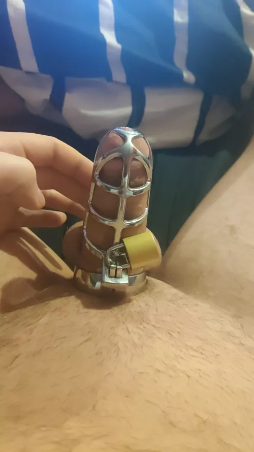 just bought my first cage, i'll try to keep it on as long as possible and make it ad hard as possible for myself