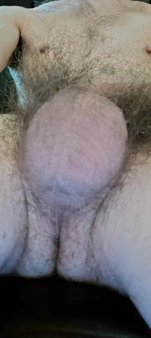 Just my hairy balls