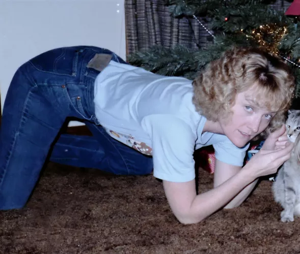Just your basic jeans...and a cat in the Christmas tree