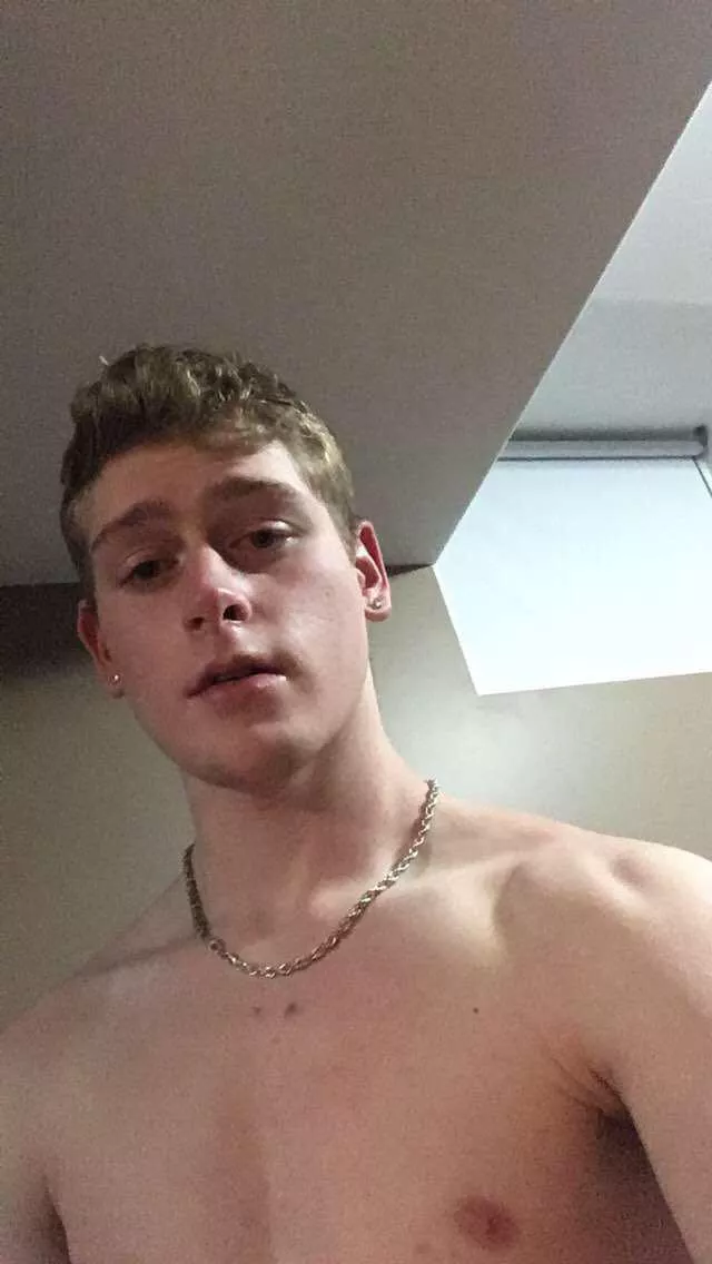 Looking for an obedient FIT hot fag to own and impress its owner DM and impress