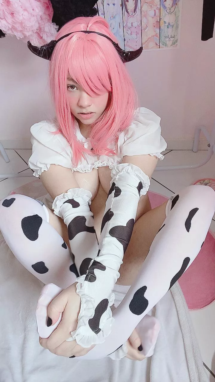 moo moo socks 🐮🥛🐾