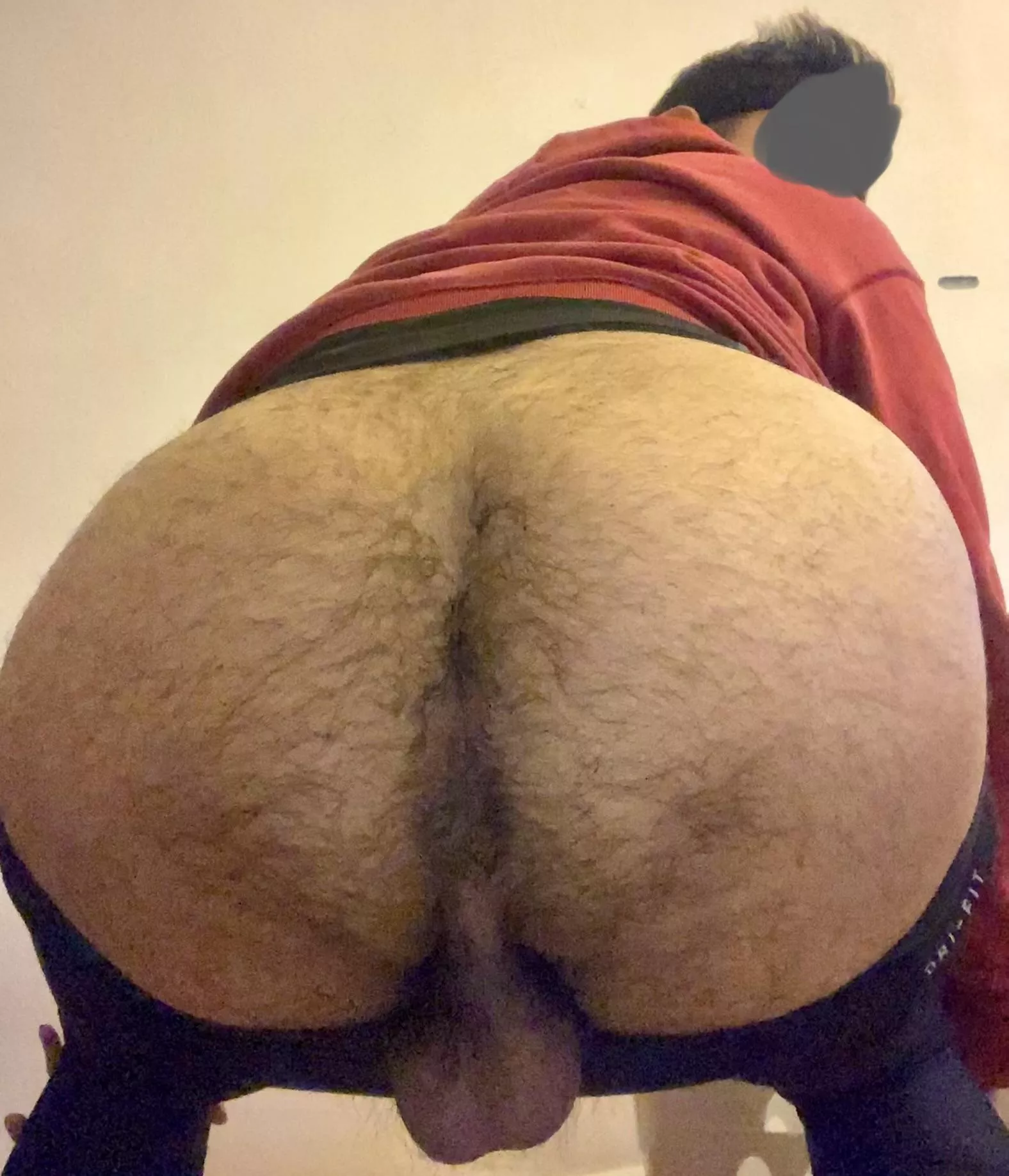 Own my ass 👅