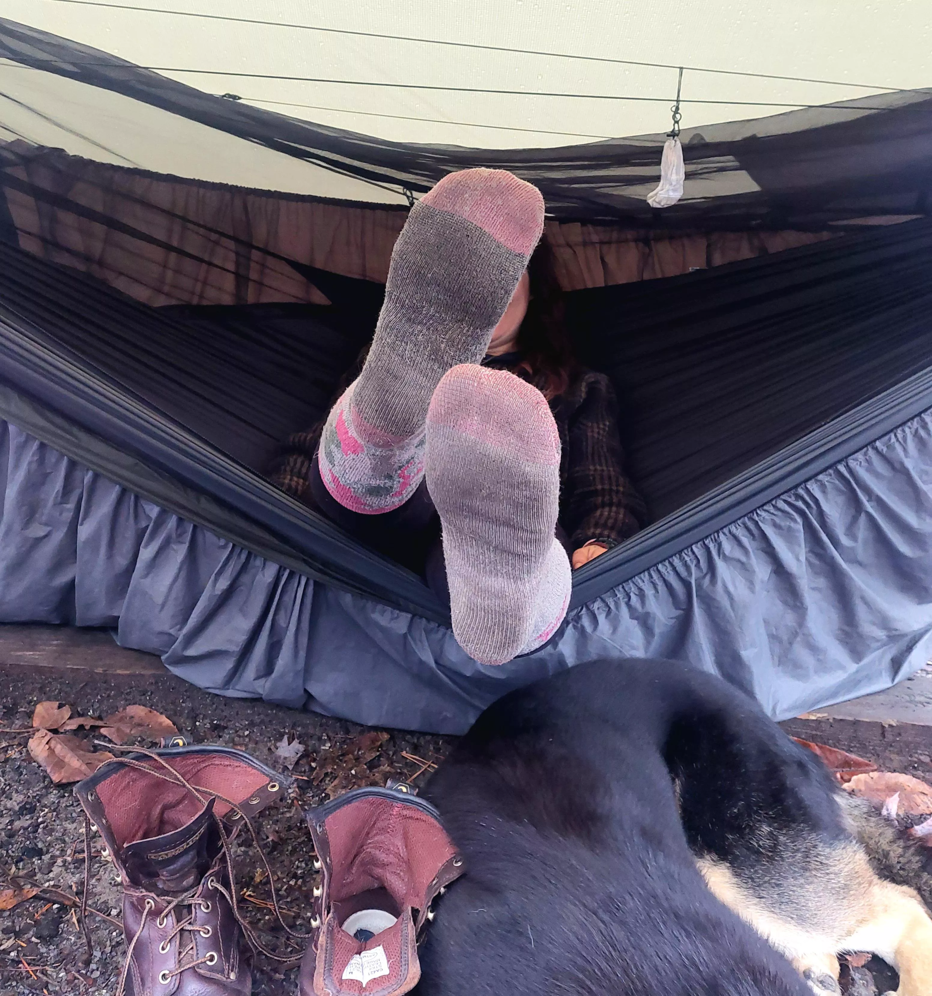 rainy day hiking and camping, who wants a sniff?