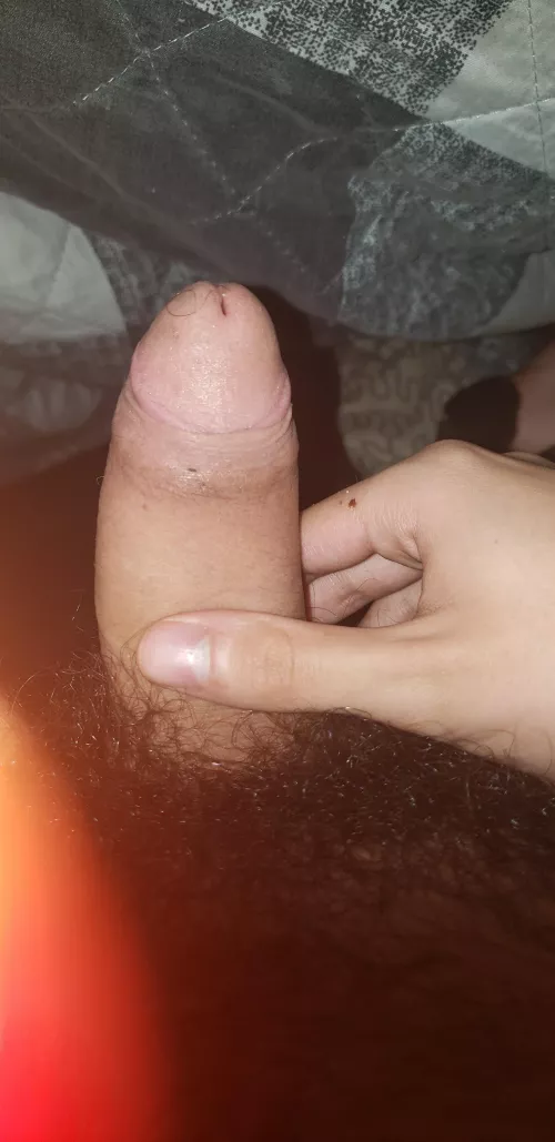 Send me pictures of your cocks 😈