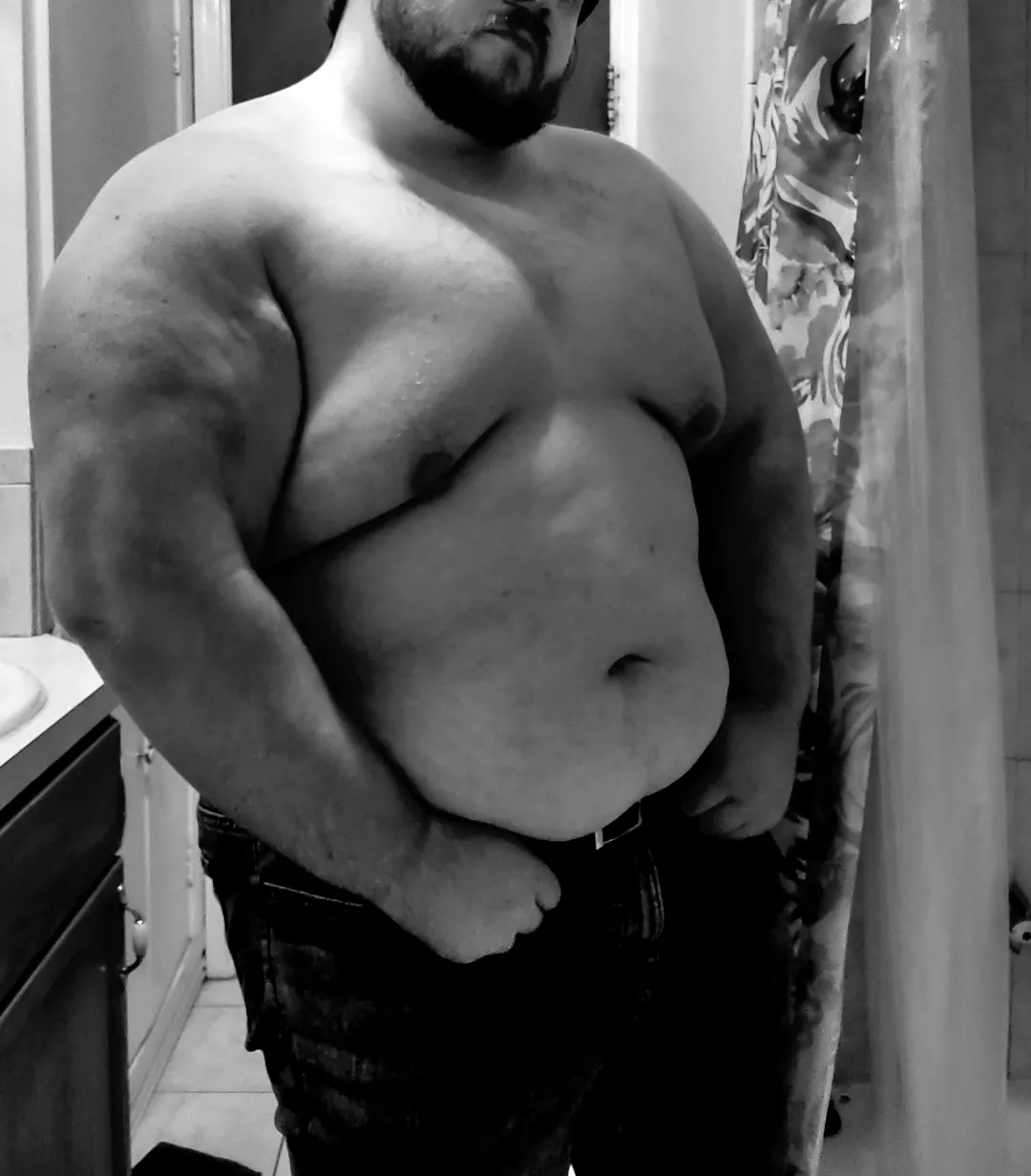 The Bear Necessities