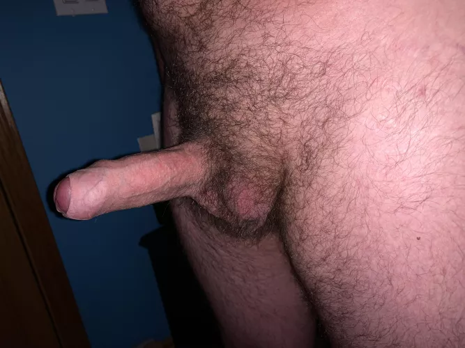 UnBearably Bored - What Could We Do?