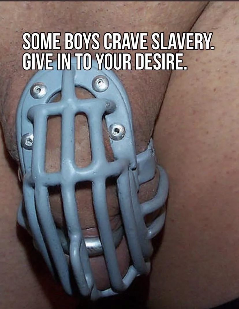 Who is the maker of this cage? Teamlocked locktober chastity cockcage