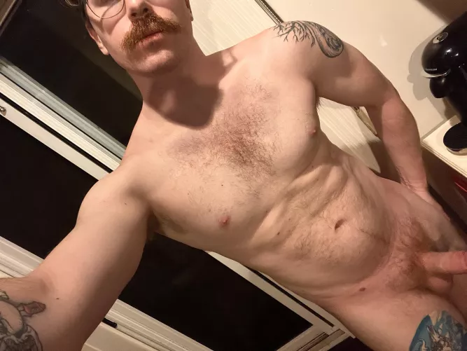 Your (m)oustache chariot has arrived!