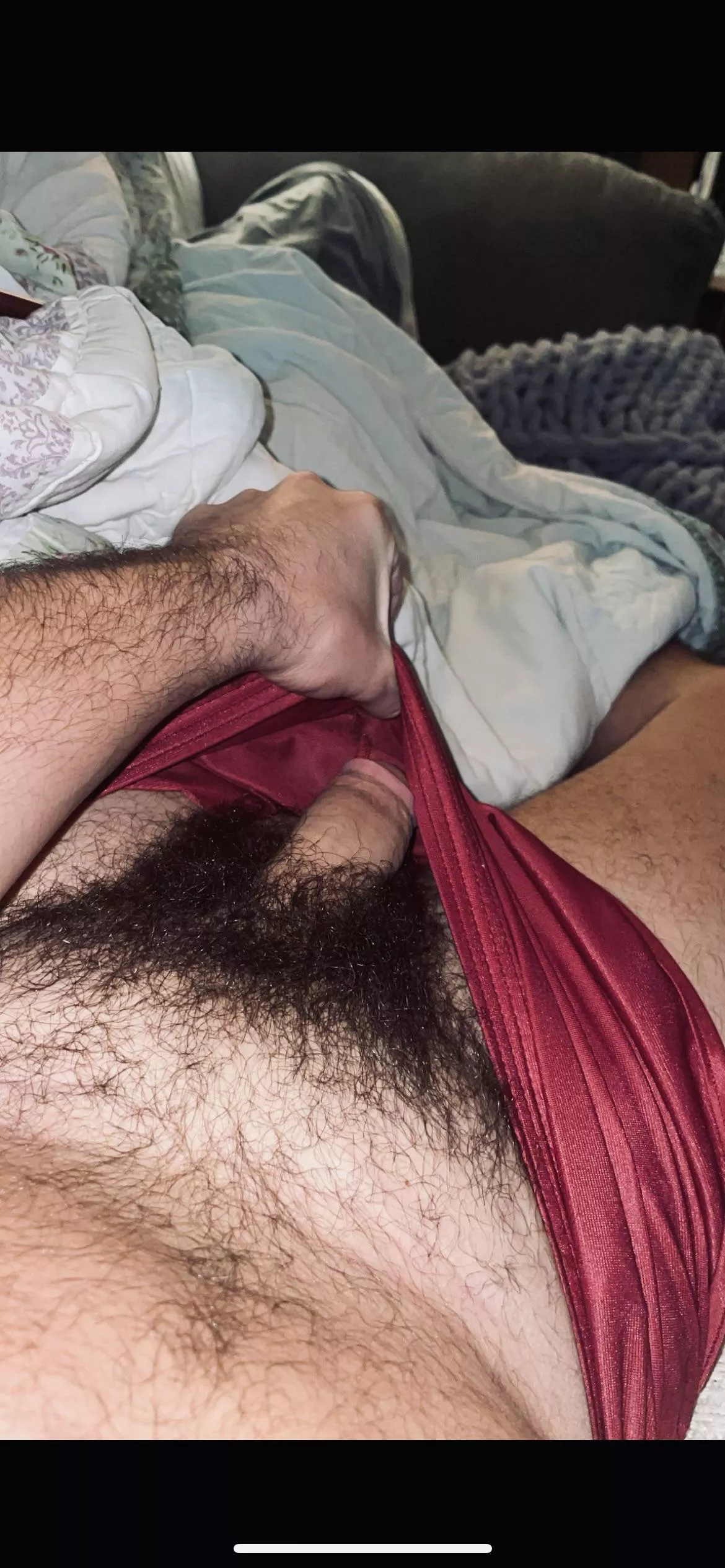 Bushy for the winter