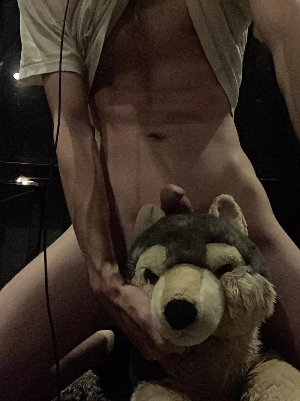 Cute wolf put in her place