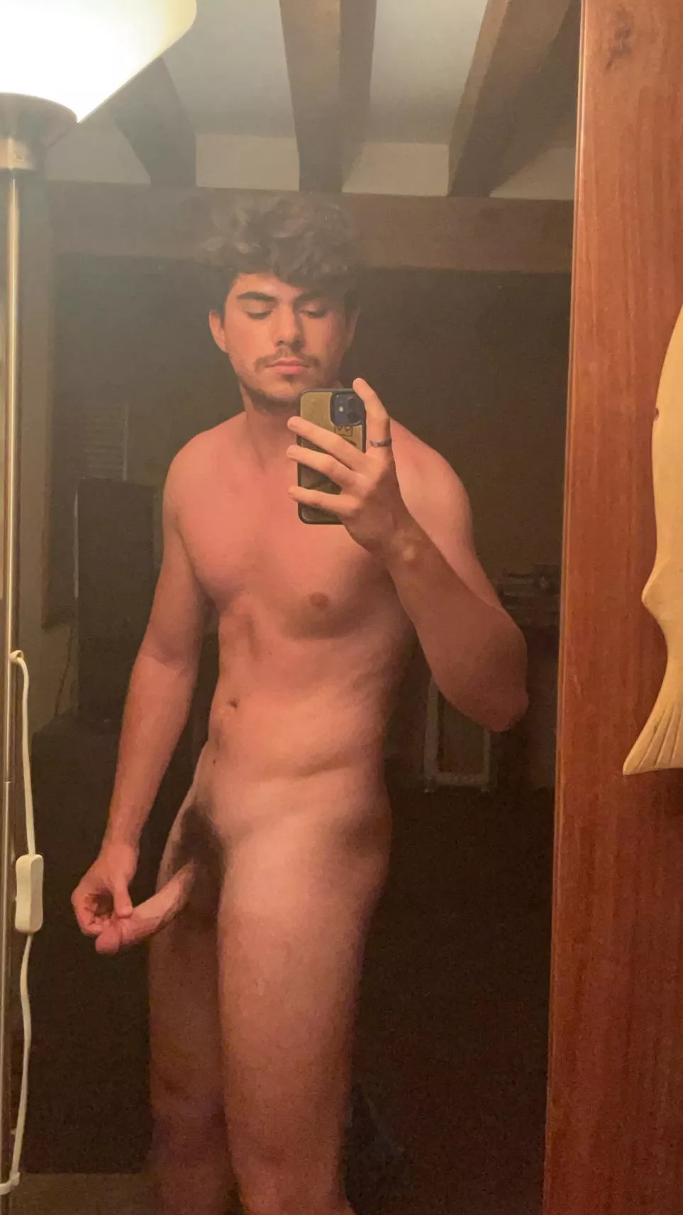 Do you like hairy dicks ?