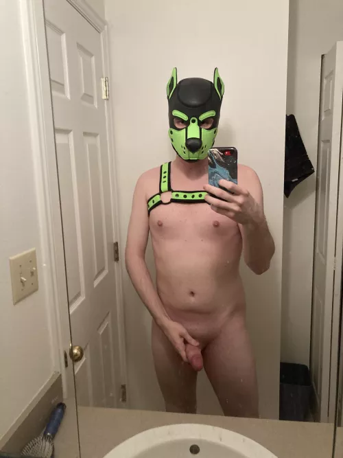 Got a lil something here for you 🐶