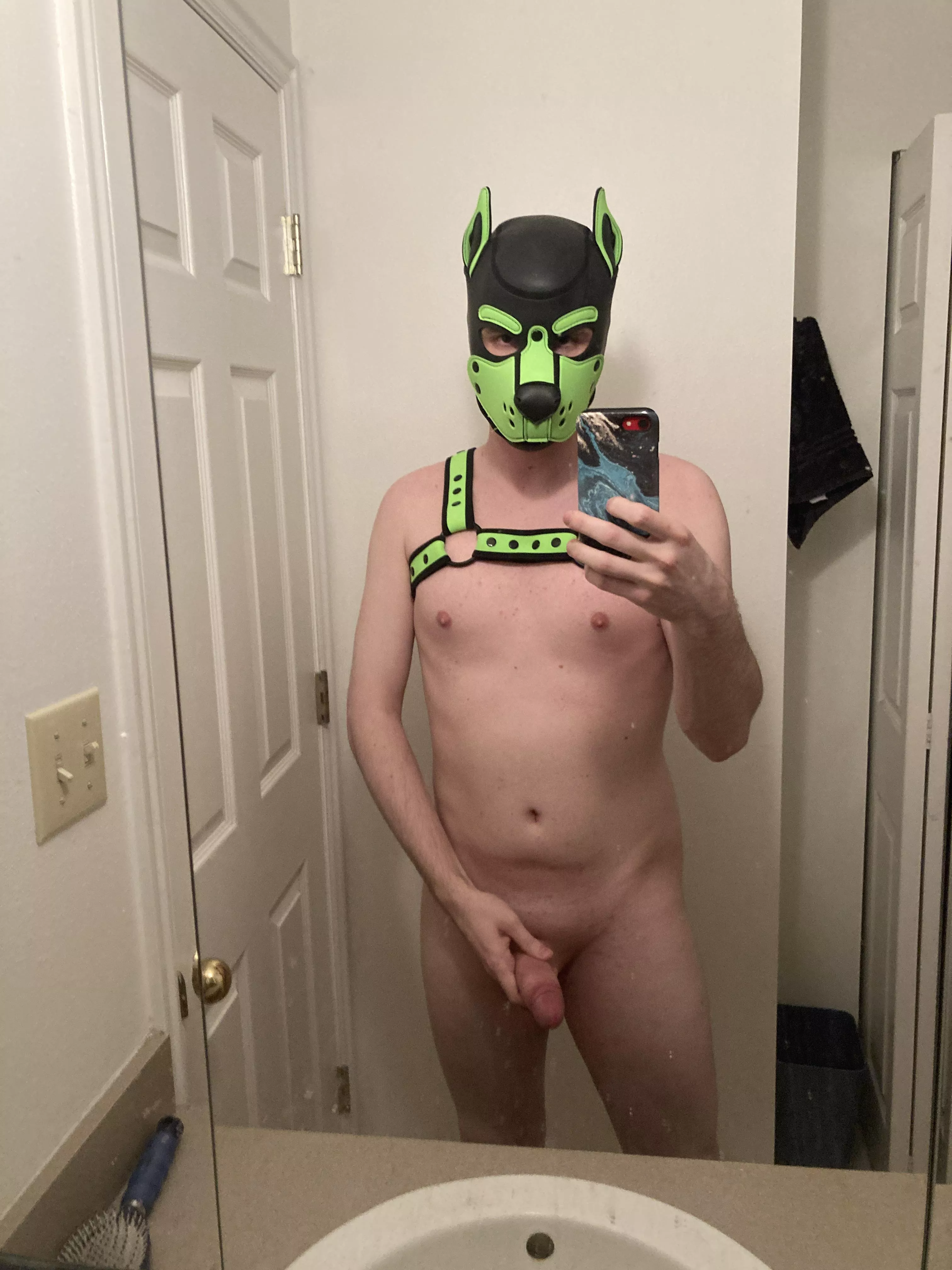 Got a lil something here for you 🐶