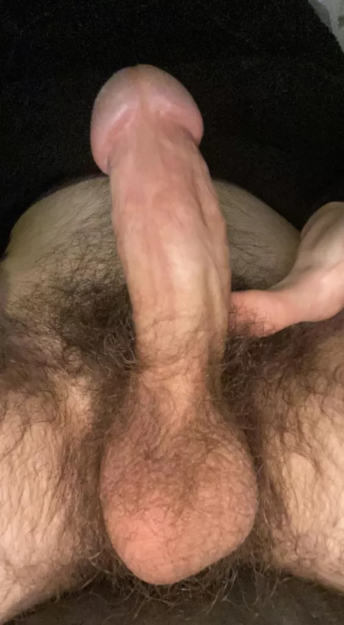 hairy teen balls!