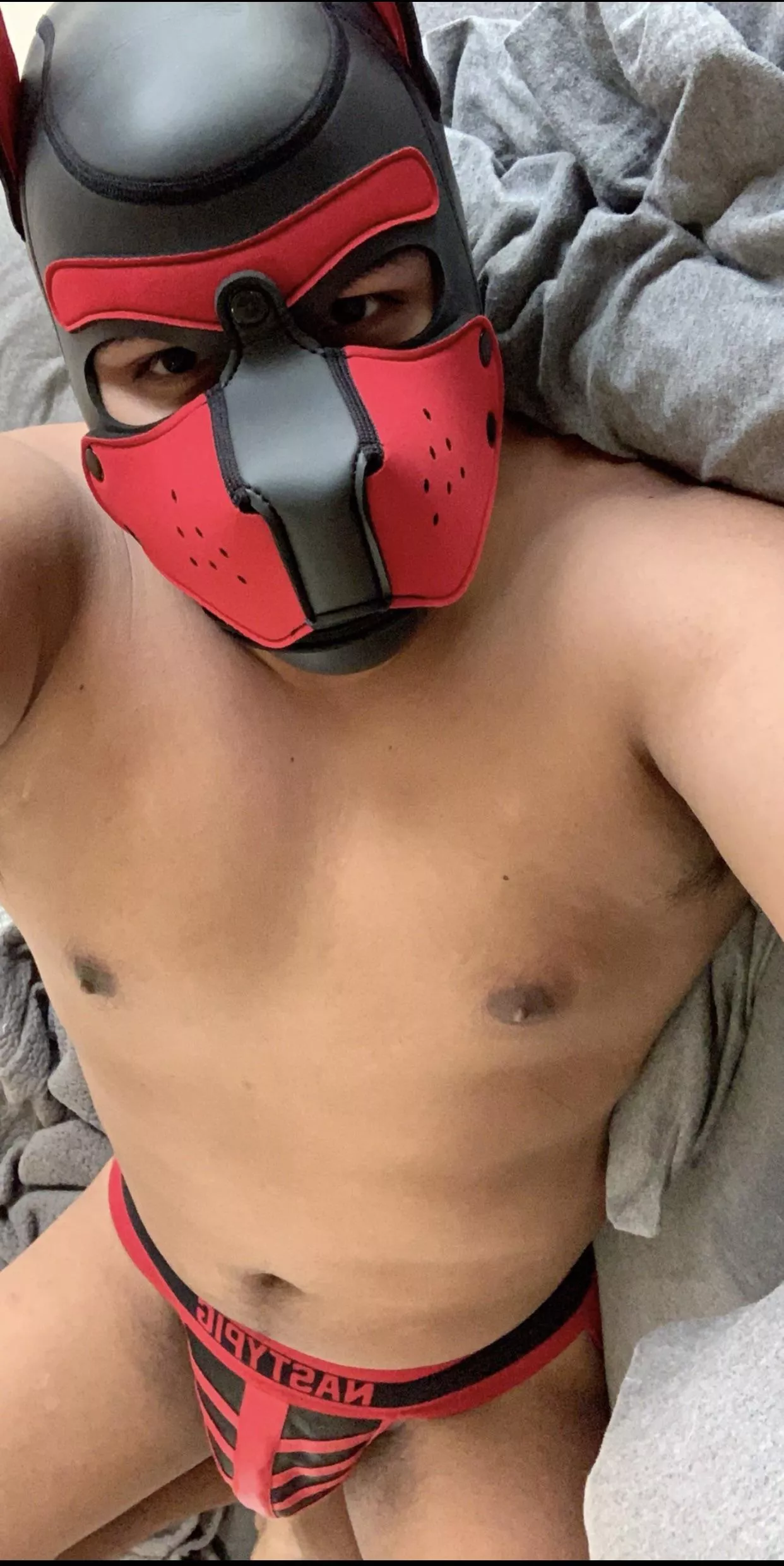 I could use some puppy cuddles