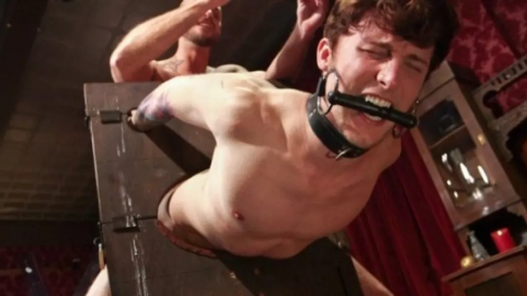 I'm looking for arab master