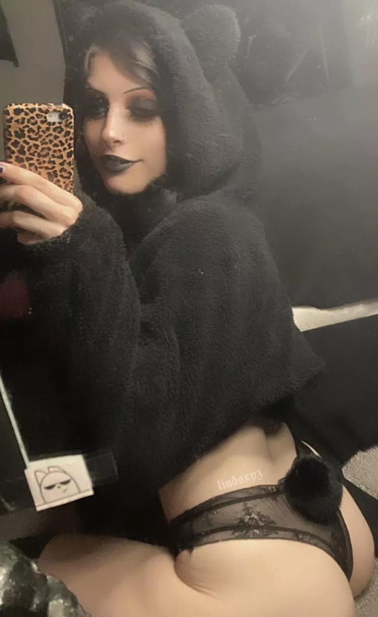 just a lil teddy bear d;