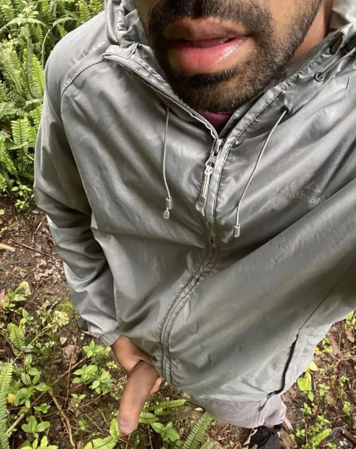 Meet me in the woods