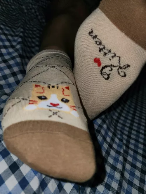 Meow😽 Would like you under them...