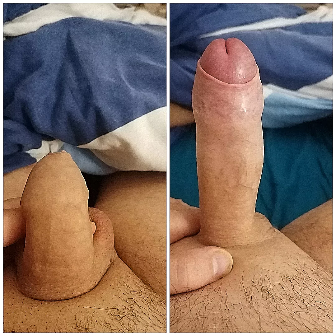 My soft and hard dick