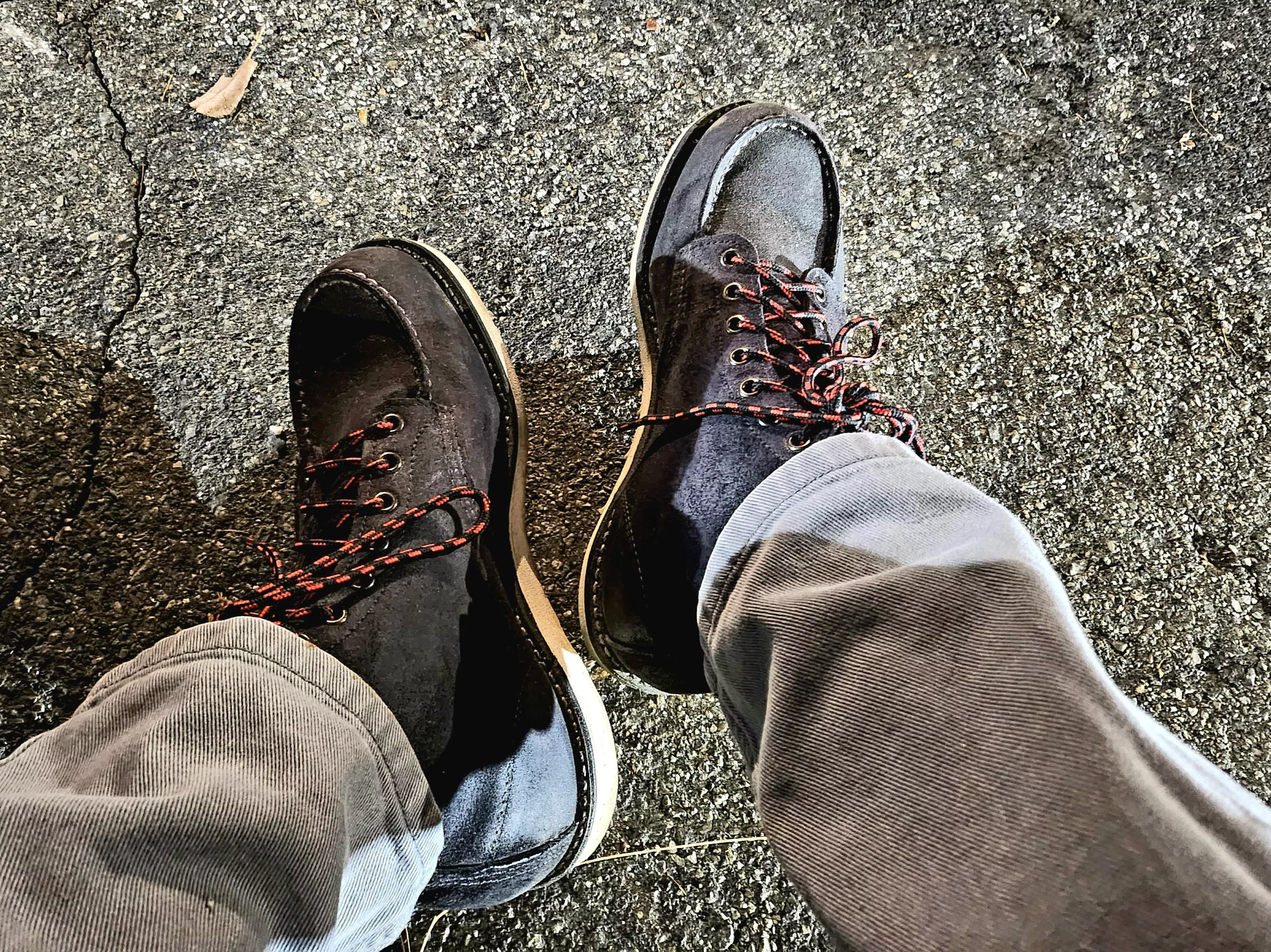 redwing moctoe