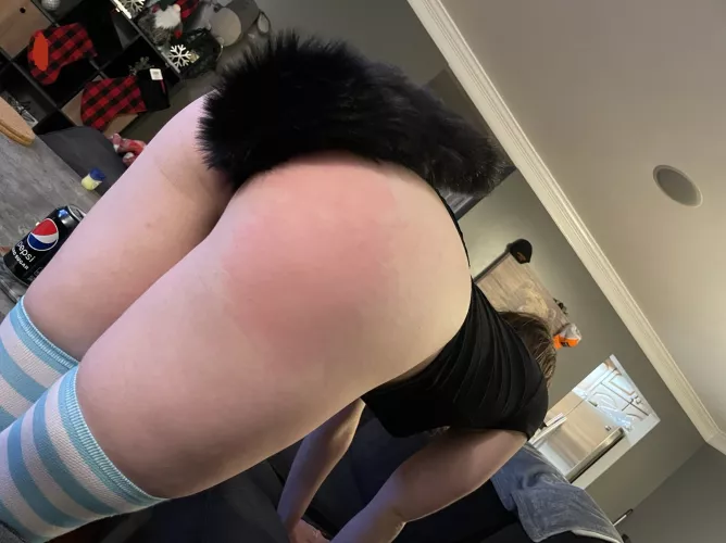 She loves rocking her tail