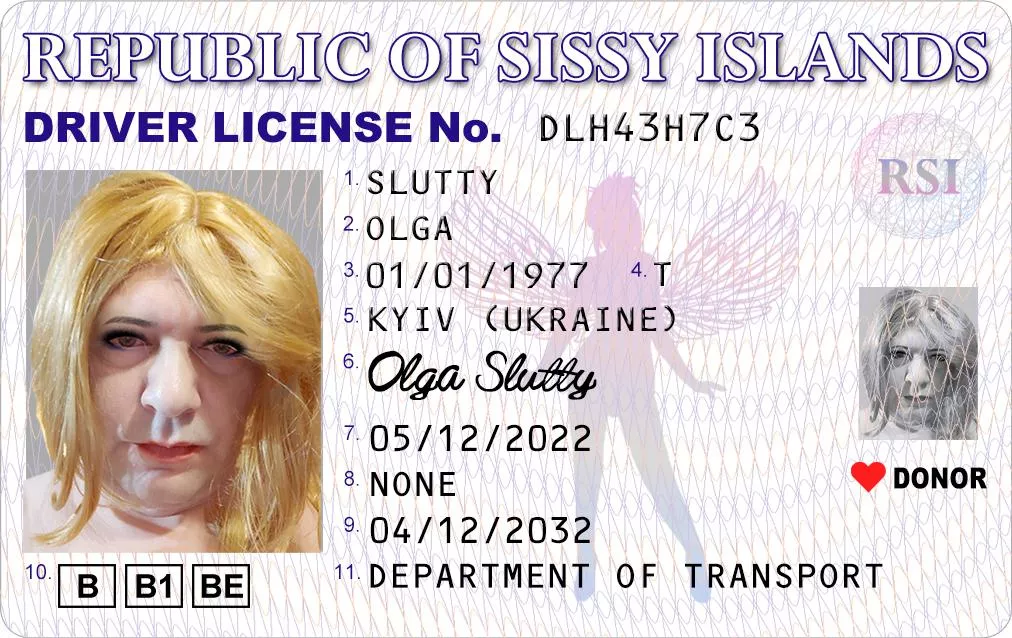 sissy driver license
