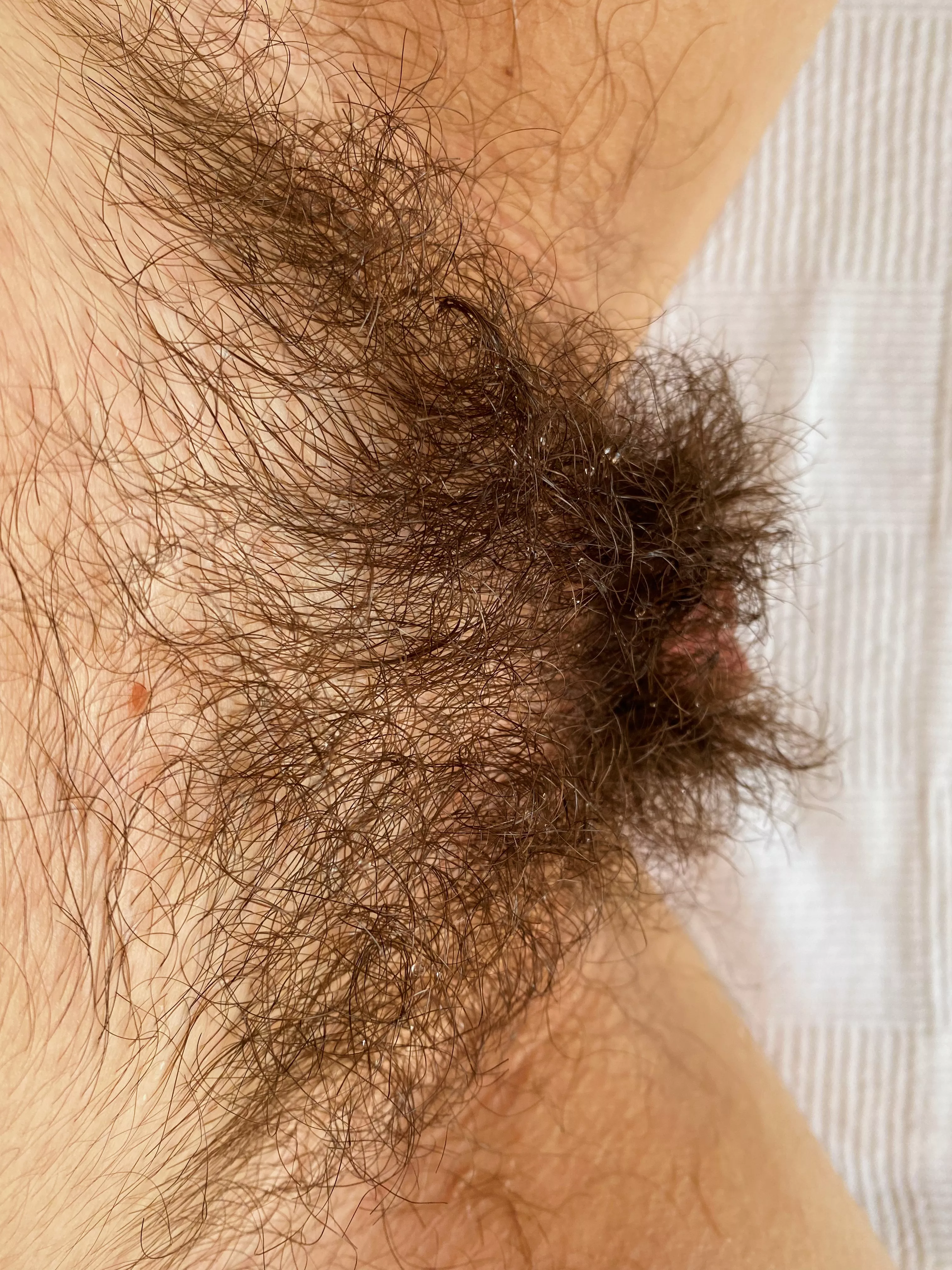 This big bush hides my fat lips🤭