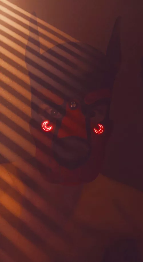 Woofs!🐾👉🏻👈🏻