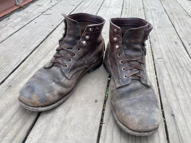 10 years and 7 cobbles later these wolverines are still hard at work