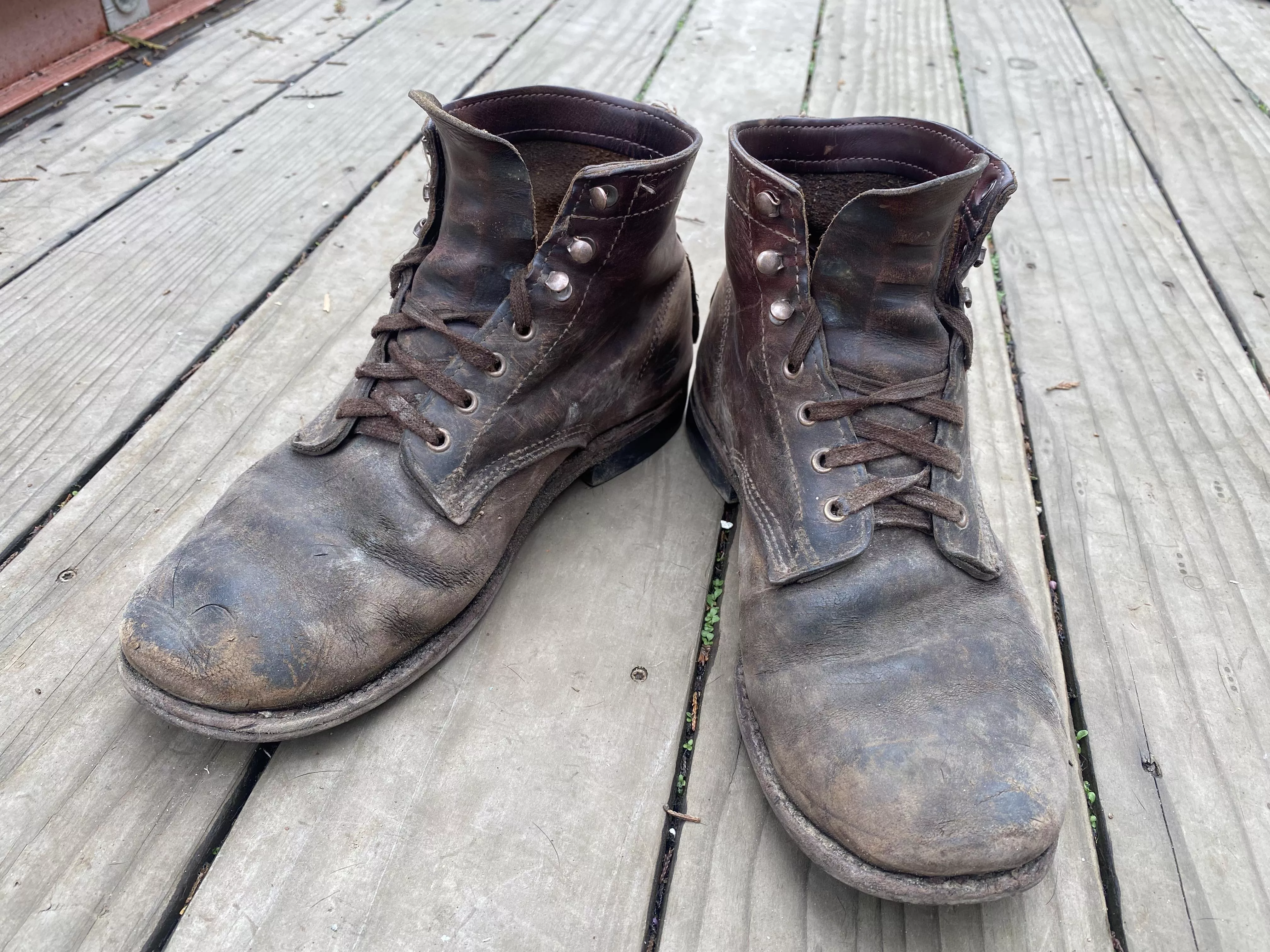 10 years and 7 cobbles later these wolverines are still hard at work