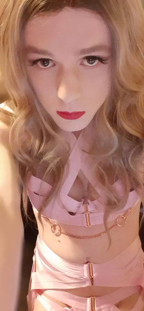 25 trans female looking to go dogging