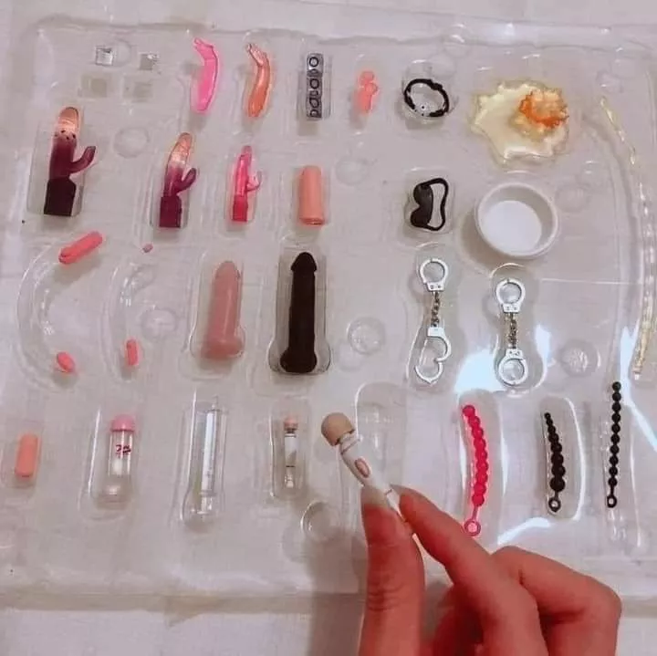 Barbie's BDSM set