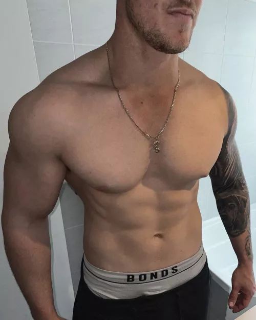 BULK OR SHRED? [m]