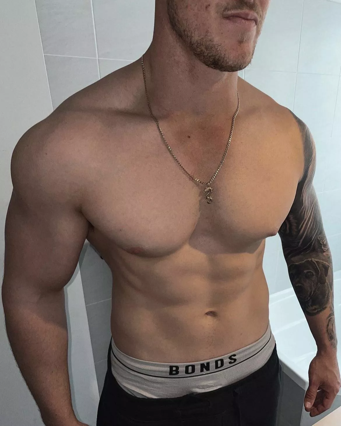 BULK OR SHRED? [m]