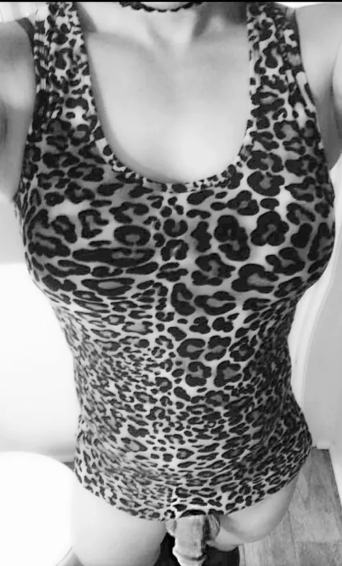 cum here kitty kitty