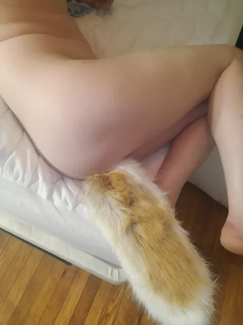 Decided to just work my way up from the smallest in length, so enjoy a little white tail for hehe 🤭