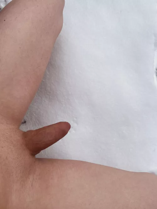 🎼 Do you want to build a snowman?