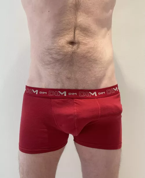 Does this make you curious?