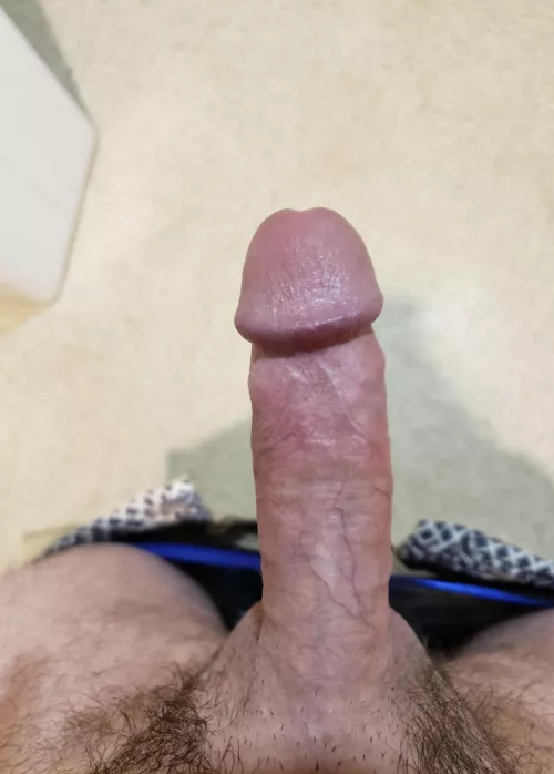 Early Morning at the office [M]