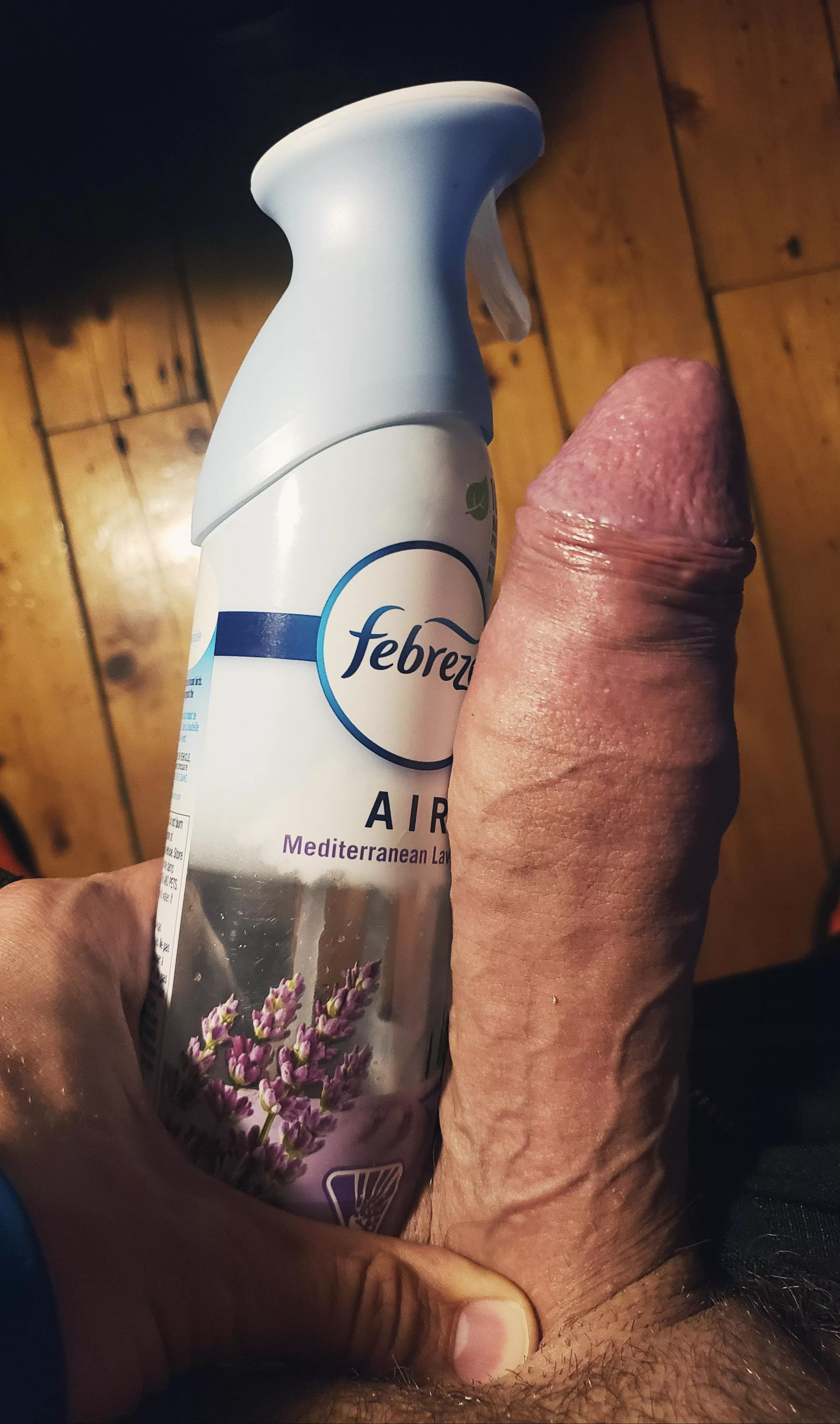 febreeze compare. decent size?
